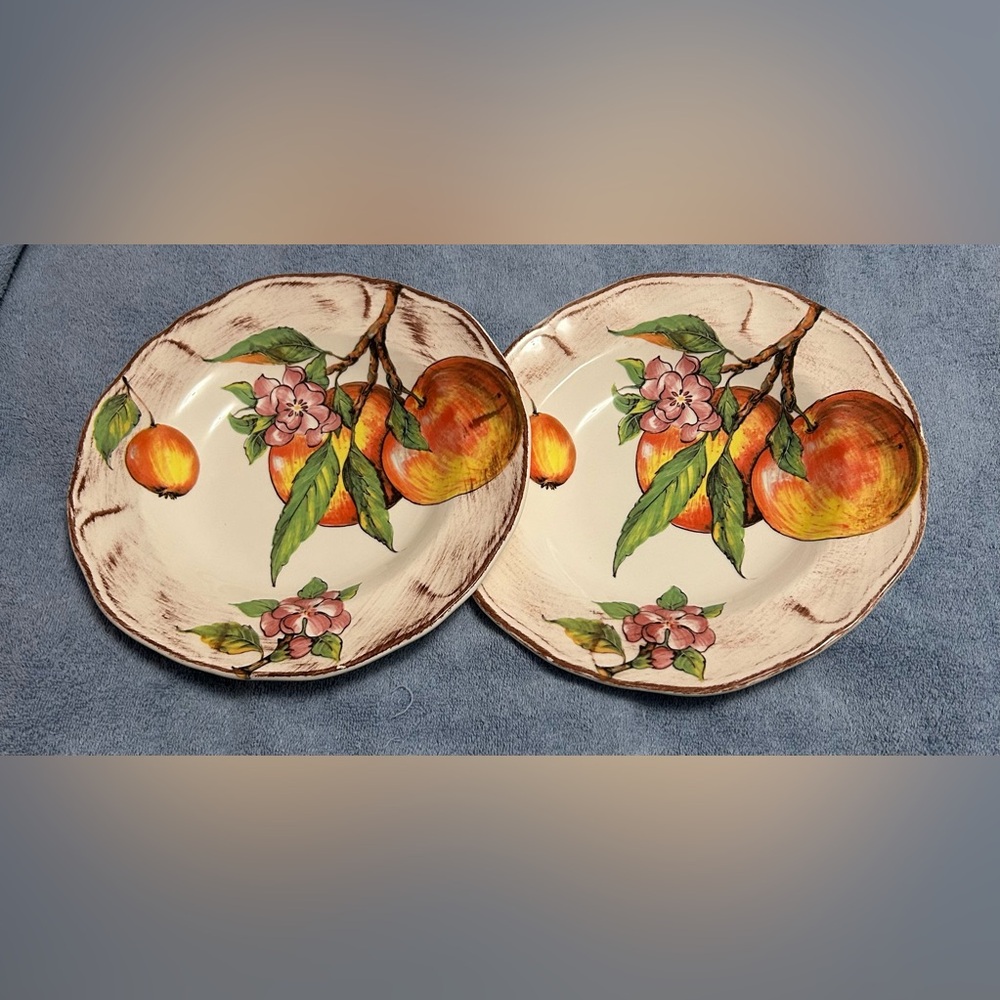 Sur La Table 10” Fruit design Dinner Plates. Ceramic made in Italy lot (2)